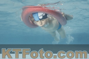 Photo 4228844