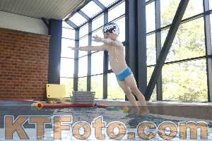 Photo 4228869