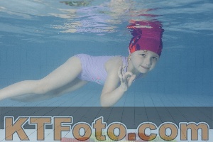Photo 4228878