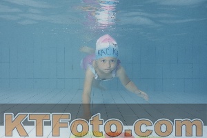 Photo 4228883