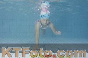 Photo 4228884