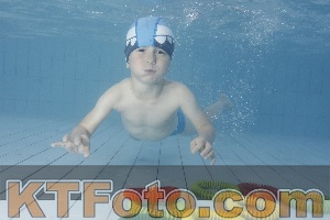 Photo 4228897