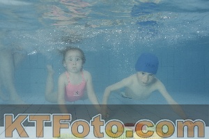 Photo 4228905