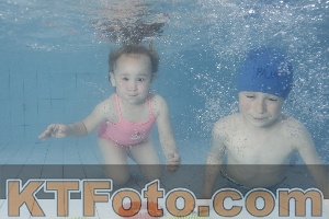 Photo 4228906