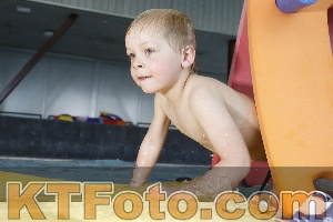 Photo 4229044