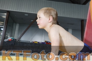 Photo 4229045