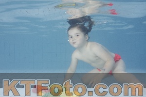 Foto 4229105