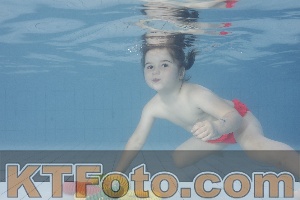 Foto 4229106