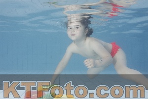 Foto 4229107