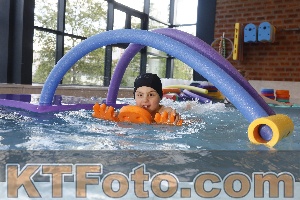 Photo 4229127