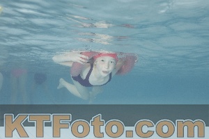 Photo 4229182