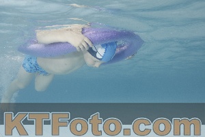 Photo 4229193