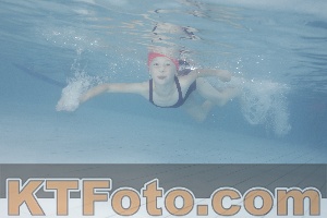 Photo 4229196