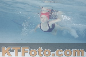 Photo 4229197