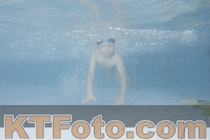 Photo 4229203