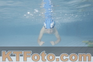 Photo 4229204