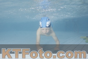 Photo 4229205