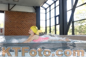 Photo 4229211