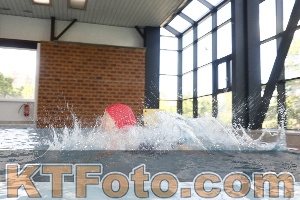 Photo 4229217