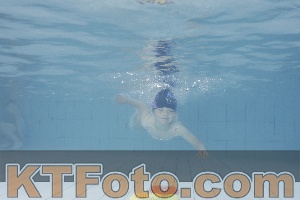 Photo 4229236