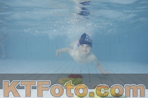 Photo 4229238