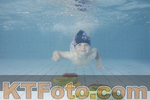 Photo 4229239