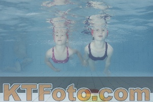 Photo 4229242