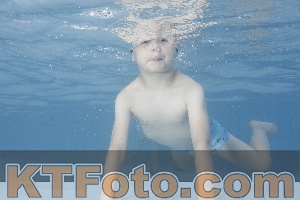 Photo 4229245
