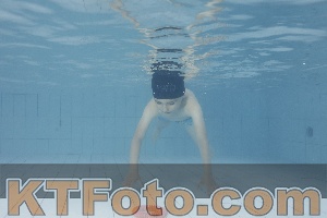 Photo 4229249