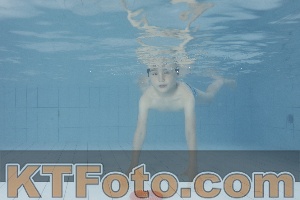Photo 4229250