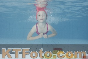 Photo 4229254
