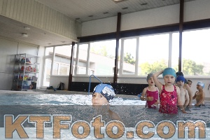 Photo 4229268