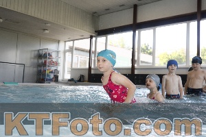 Photo 4229270