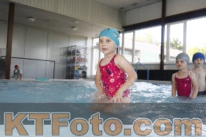 Photo 4229271