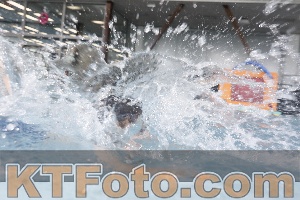 Photo 4229285