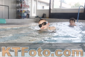 Photo 4229299
