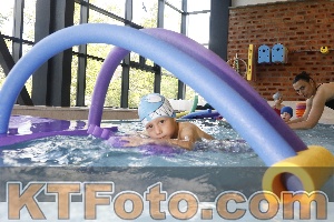 Photo 4229308