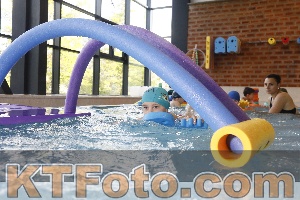 Photo 4229310