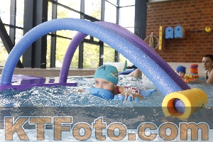 Photo 4229311