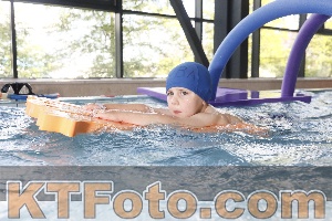 Photo 4229314