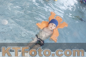 Photo 4229332