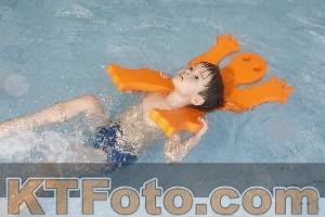 Photo 4229333