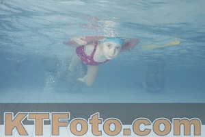 Photo 4229361