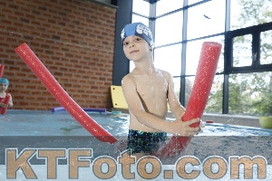 Photo 4229372