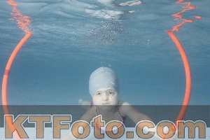 Photo 4229382