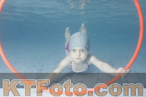 Photo 4229385