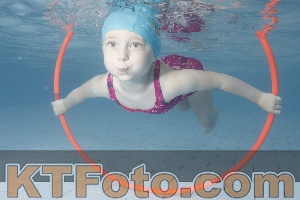 Photo 4229389