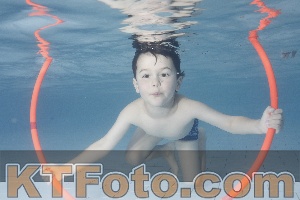 Photo 4229391