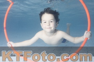 Photo 4229393