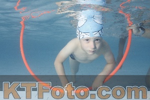 Photo 4229398